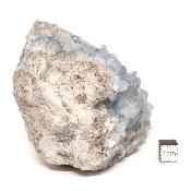 Célestine Pierre brute 15735