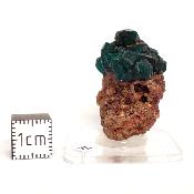 Dioptase Pierre Brute 15810