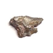 Météorite Sidérite Sikhote-Alin 15982
