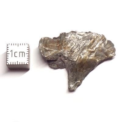 Météorite Sidérite Sikhote-Alin 15993