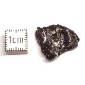 Météorite Sidérite Sikhote-Alin 15997