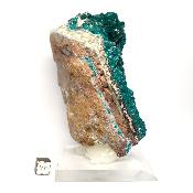 Dioptase Pierre Brute 19355