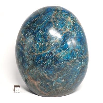 Apatite Bleue Forme Libre 04828