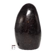 Tourmaline Noire Forme Libre 04996