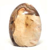 Bois Fossile Forme Libre 15452