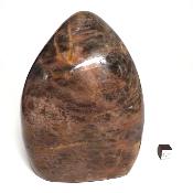 Pierre de Lune Noire Forme Libre 15579