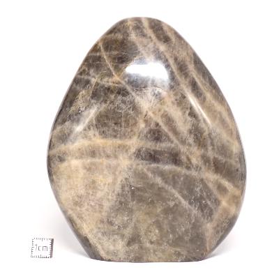 Pierre de Lune Noire Forme Libre 15639