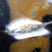 Jaspe Jaune Forme Libre 15641