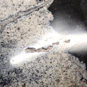 Jaspe Jaune Forme Libre 15643