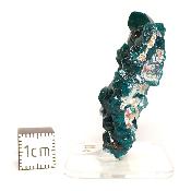 Dioptase Pierre Brute 15818