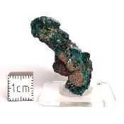Dioptase Pierre Brute 15820