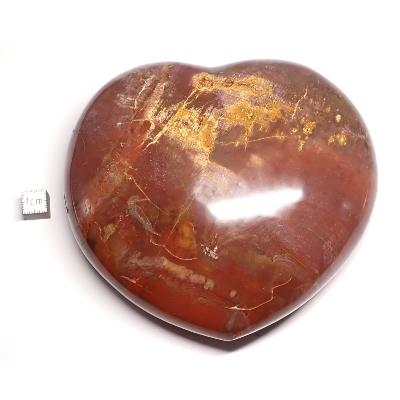 Bois Fossile Coeur 2047