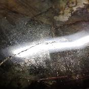 Labradorite Coeur 05721