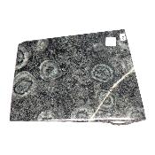 Diorite Orbiculaire Plaque 09491