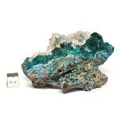 Dioptase Pierre Brute 11741