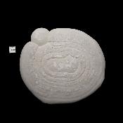 Pierre des Fées Pierre Brute - "Poisson" 15309