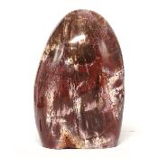 Bois Fossile Forme Libre 15454