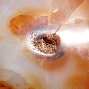 Cornaline chauffée forme libre 15644