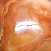 Cornaline chauffée forme libre 15658