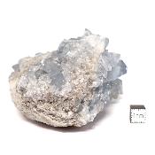 Célestine Pierre brute 15734