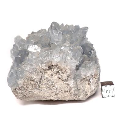 Célestine Pierre brute 15738