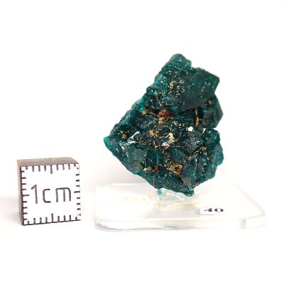 Dioptase Pierre Brute 15791