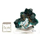 Dioptase Pierre Brute 15812