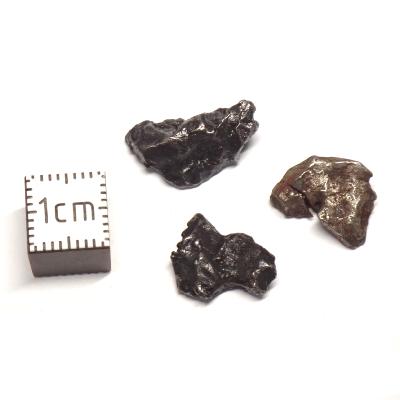 Météorite Sidérite Sikhote Alin 