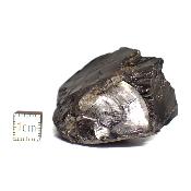 Shungite Cristallisée Pierre brute 05158