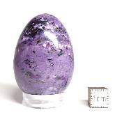 Charoite Oeuf 14905