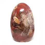 Bois Fossile Forme Libre 15451