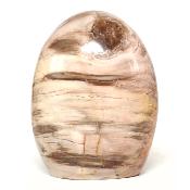 Bois Fossile Forme Libre 15453