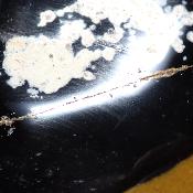 Jaspe Jaune Forme Libre 15642