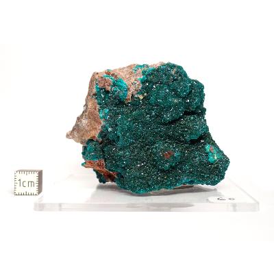 Dioptase Pierre Brute 15764