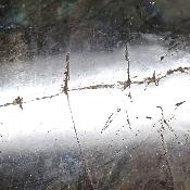 Labradorite Forme Libre 2034