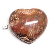 Bois Fossile Coeur 2046