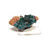 Dioptase Pierre Brute 04939