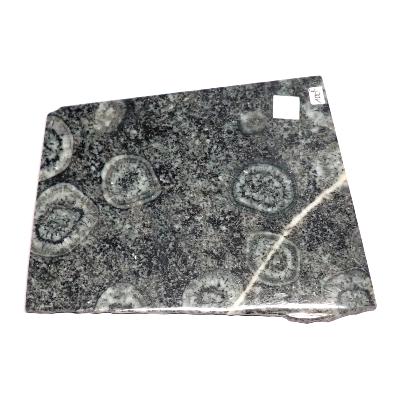 Diorite Orbiculaire Plaque - Numrotes