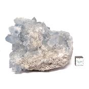 Célestine Pierre brute 15734