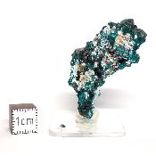 Dioptase Pierre Brute 15779