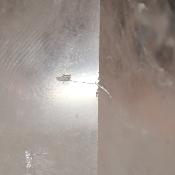 Cristal de Roche Pointe Polie 15936