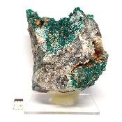 Dioptase Pierre Brute 17884