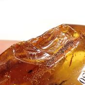 Ambre de la Baltique morceau poli 2037