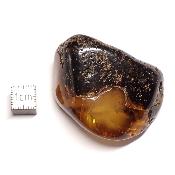 Ambre de la Baltique morceau poli 2039