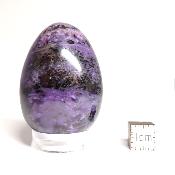 Charoite Oeuf 14903