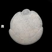 Pierre des Fées Pierre Brute - "Manteau de fourures" 15302