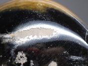 Jaspe Jaune Forme Libre 15640