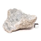 Célestine Pierre brute 15732