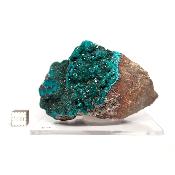 Dioptase Pierre Brute 15763