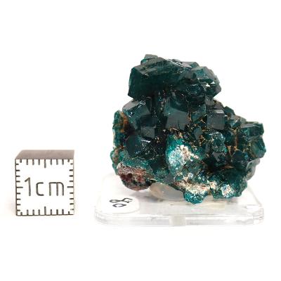 Dioptase Pierre Brute 15812